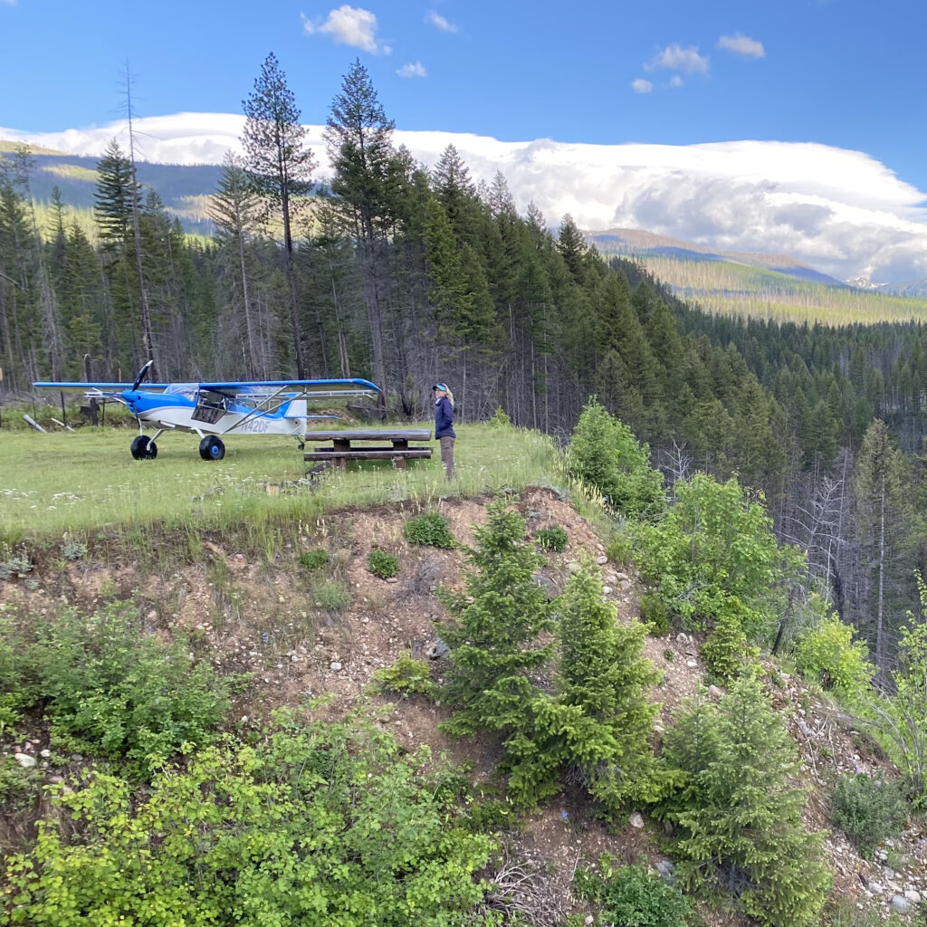 Here's another shot taken during the airplane camp trip Dianna and I took to Montana in June. The airstrip, Meadow Creek, is an awesome place from which to enjoy the South Fork Flathead.